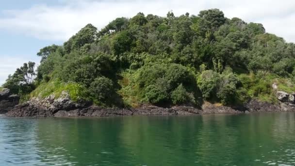 Navegar Través Bahía Las Islas Nueva Zelanda — Vídeo de stock