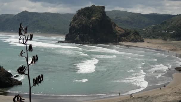 Piha Beach Lion Rock — Stock Video