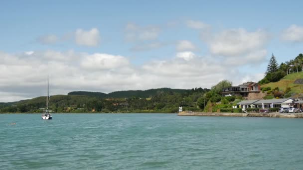 Segelbåt Mangonui Hamn Nya Zeeland — Stockvideo