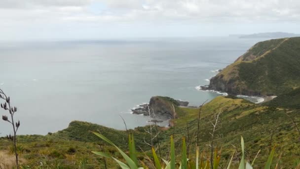 Pan Van Cape Reinga Meest Noordwestelijke Punt Van Het Schiereiland — Stockvideo