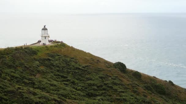 位于新西兰北部岛屿北端的阿普乌里半岛最西端的Reinga角灯塔的潘教授 — 图库视频影像