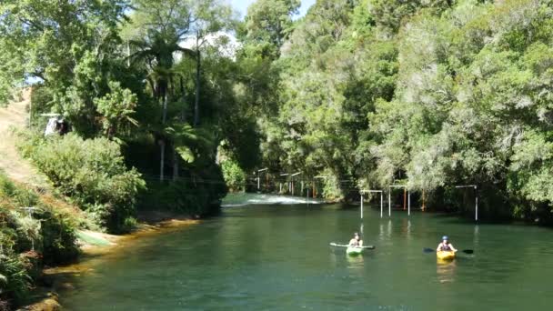 Canoeing Rotorua New Zealand — Stock Video