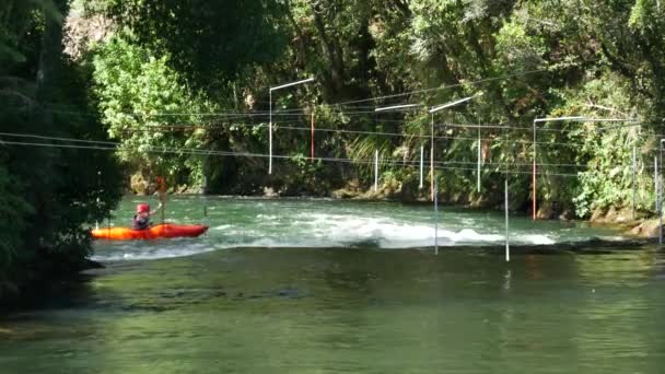 Wild Water Canoeing Rotorua New Zealand — Stock Video