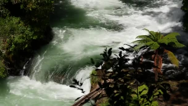 Wildwater Rafting Rotorua New Zealand — Stock Video