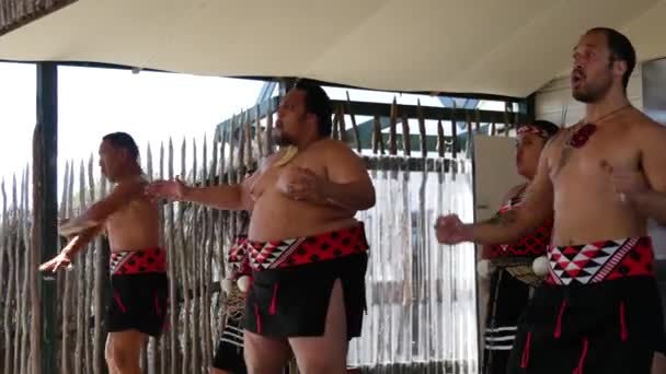 Maori Haka Auftritt Whakarewarewa Thermaltal Rotorua Neuseeland — Stockvideo