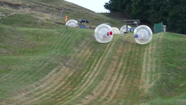 Die Bubble Rollers Rollen Neuseeland Einen Hügel Hinunter — Stockvideo