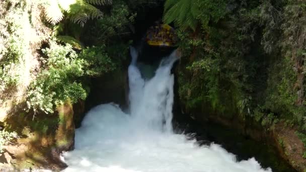 新西兰罗托鲁阿的野生水漂流 — 图库视频影像