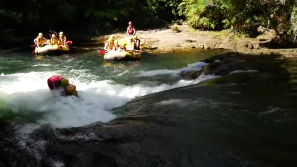 Szánkózás Rotorua Zélandon — Stock videók