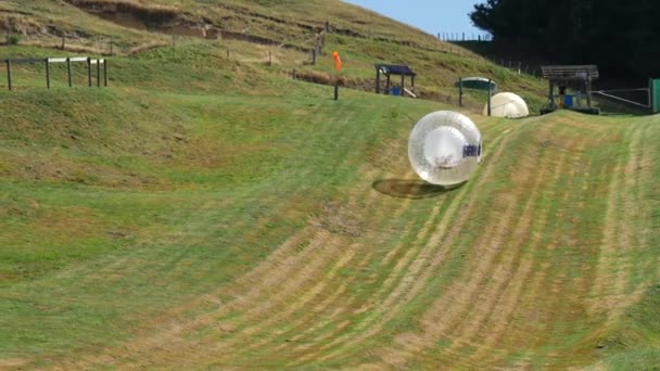 Bubble Rollers Rollen Neuseeland Einen Hügel Hinunter — Stockvideo