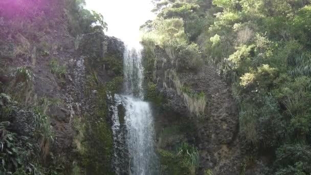 Inclinación Hacia Kitekite Falls Cascada Niveles Cerca Auckland Nueva Zelanda — Vídeo de stock