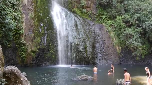 Tilt Kitekite Falls Tiered Waterfall Auckland New Zealand — Stock Video
