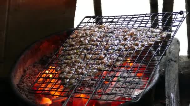 Hoi Vietnam Domuz Ciğeri Ezmeli Izgara Kek — Stok video