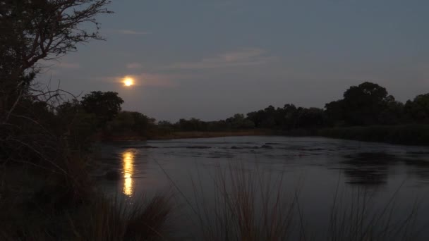 Wschód Słońca Parku Narodowym Bwabwata Namibia — Wideo stockowe
