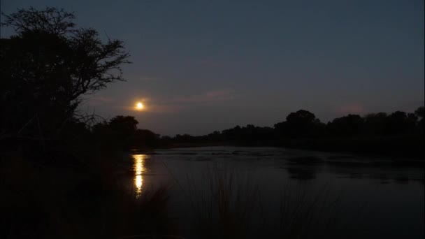 Timelapse Wschodu Słońca Parku Narodowym Bwabwata Namibia — Wideo stockowe