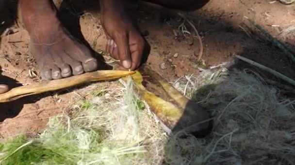 Hoansi Bushmen Φυλή Κάνοντας Σχοινί Για Ένα Τόξο Και Βέλος — Αρχείο Βίντεο