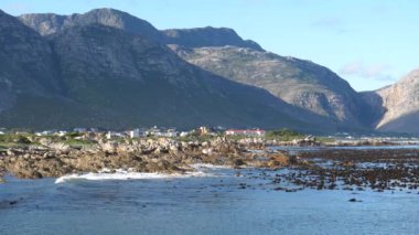 Güney Afrika 'daki Betty Körfezi kıyısında.