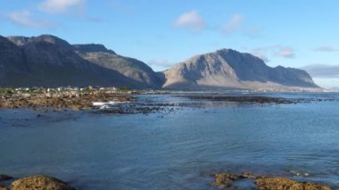 Güney Afrika 'daki Betty Körfezi kıyısında.