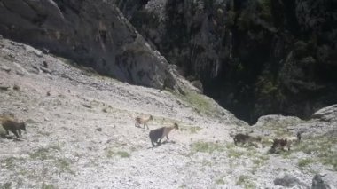 İspanya 'da San Juan de la pena