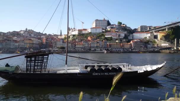 Barco Río Douro Porto Portugal — Vídeos de Stock