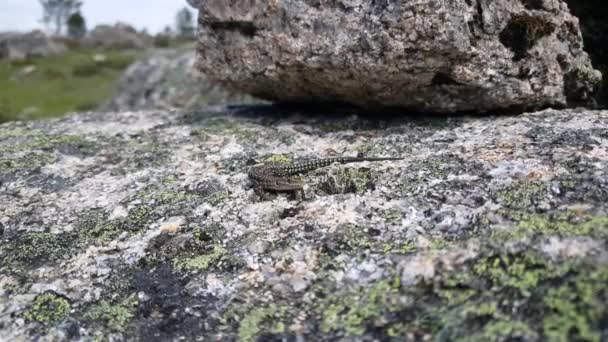 San Juan Pena España — Vídeos de Stock