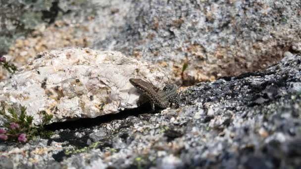 San Juan de la pena en Espagne