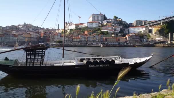 Barco Madeira Rio Douro Porto Portugal — Vídeo de Stock