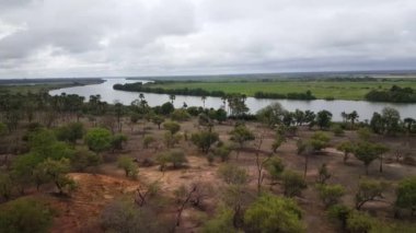 Gambiya, Afrika 'daki Kahi Badi Orman Parkı' ndan geçen bir nehirden Pan