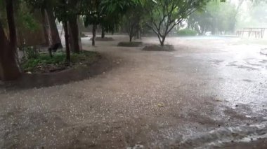 Moremi Oyun Rezervi, Botswana 'da dolu