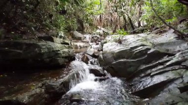 Gine, Afrika 'daki Kambadaga Şelalesi' nin etrafındaki küçük nehir.