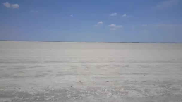 Botswana Daki Kgalagadi Transfrontier Parkı Nda Bir Çukur Kazan Köstebek — Stok video