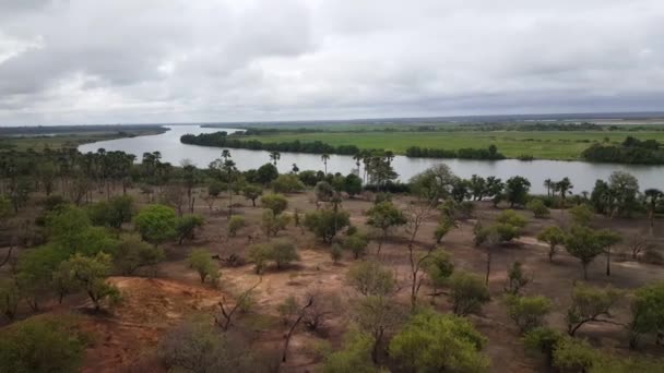 Panela Rio Através Parque Florestal Kahi Badi Gâmbia África — Vídeo de Stock