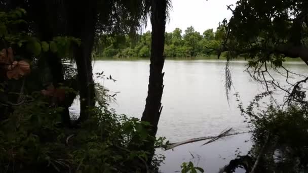 Pan Fleuve Gambie Afrique — Video