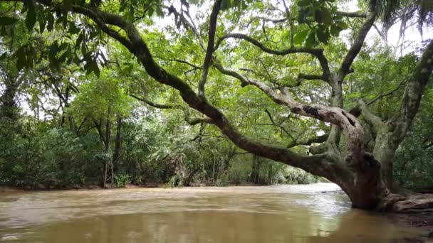 Stream aux chutes Farako au Mali, Afrique 