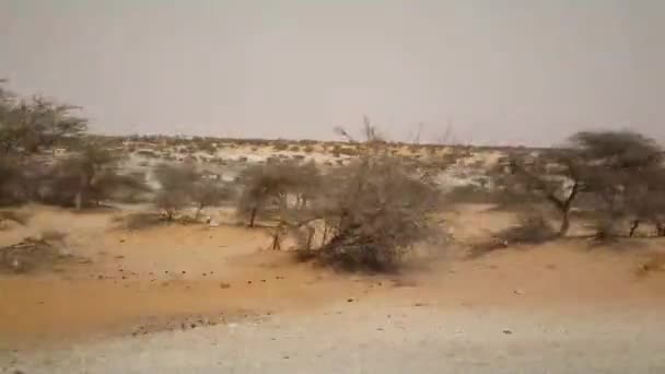 Οδήγηση Μέσω Μαυριτανίας Αφρική — Αρχείο Βίντεο