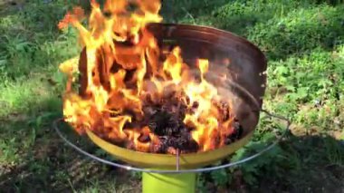 Hollanda 'da kuru kozalaklı barbekü ateşi