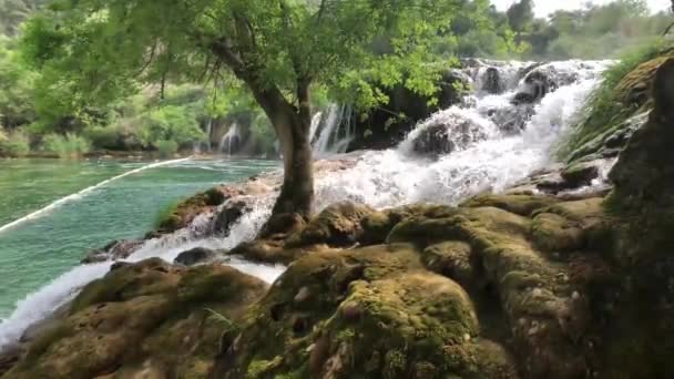 Cascada Parque Nacional Krka Croacia — Vídeo de stock