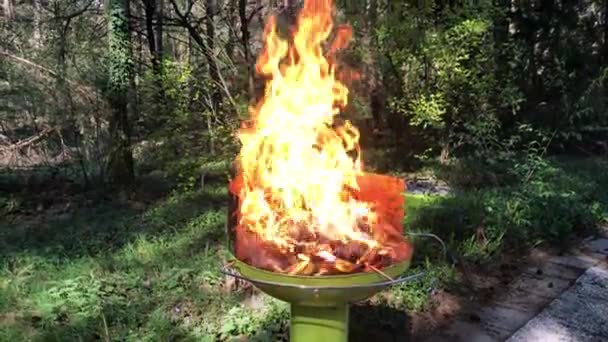 Ξεκινώντας Μια Φωτιά Μπάρμπεκιου Ξηρούς Κουκουνάρια Στην Ολλανδία — Αρχείο Βίντεο