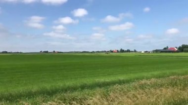 Hollanda 'daki Frizya tarım arazisi