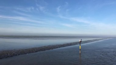 Hollanda, Friesland 'daki Wadden Denizi' ne yelken açmak.