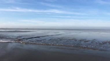 Hollanda, Friesland 'daki Wadden Denizi' ne yelken açmak.