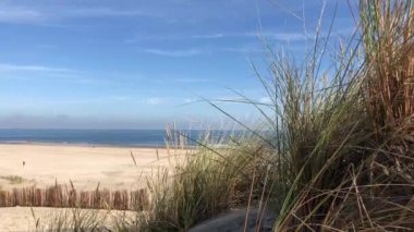 Friesland 'daki Ameland Adası' ndaki plaj. Hollanda.
