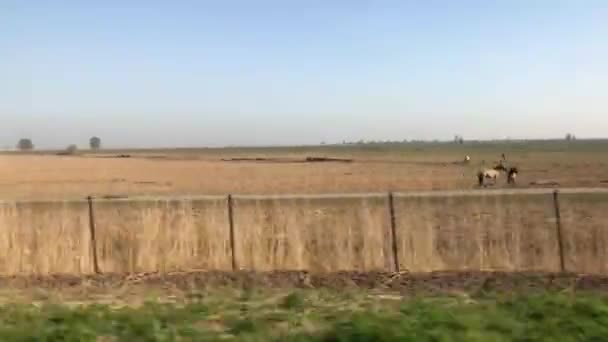 Blick Aus Dem Zug Während Der Fahrt Durch Die Niederlande — Stockvideo