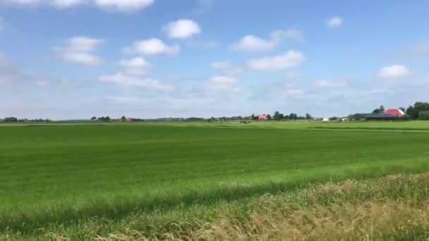 Paysage Agricole Frison Aux Pays Bas — Video