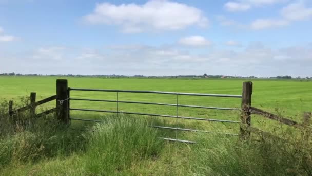 Jordbruksmark Friesland Nederländerna — Stockvideo