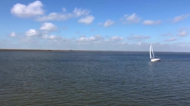 Żeglarstwo Morzu Wattowym Friesland Holandia — Wideo stockowe