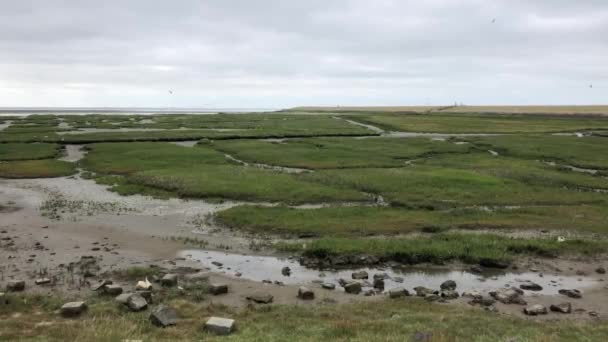 Krajobraz Wyspy Terschelling Friesland Holandia — Wideo stockowe