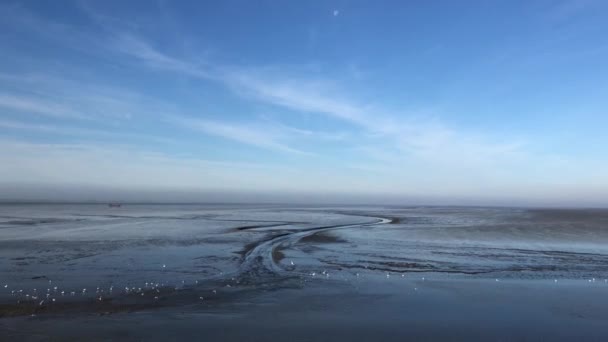 オランダのフリースラントで干潮の際にワデン海を航海する — ストック動画