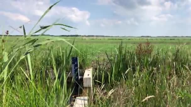 Waterpeilmeter Bij Een Kanaal Rond Landbouwgrond — Stockvideo