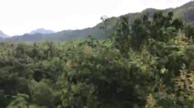 Kanchanaburi Tayland 'daki Ölüm Demiryolu' ndan görüntüler