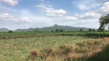 Kanchanaburi ve Bangkok Tayland arasındaki trenden görüntü